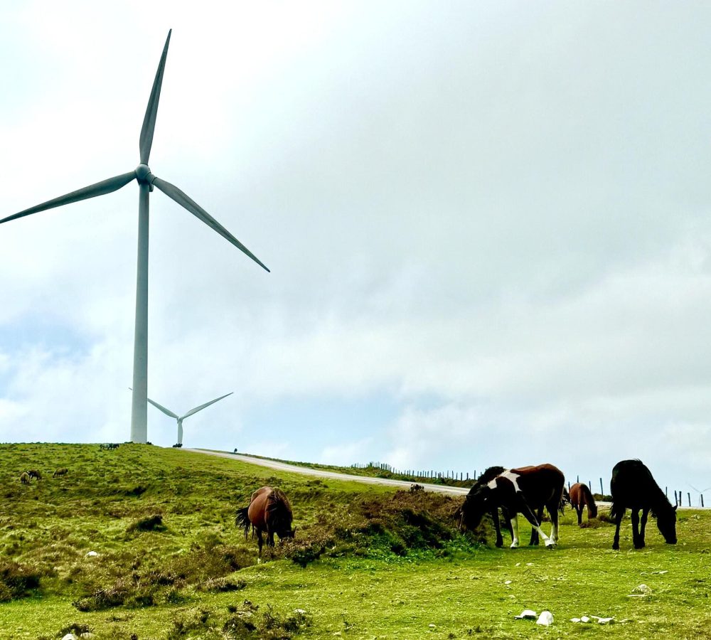 Fotos Galventus (12)